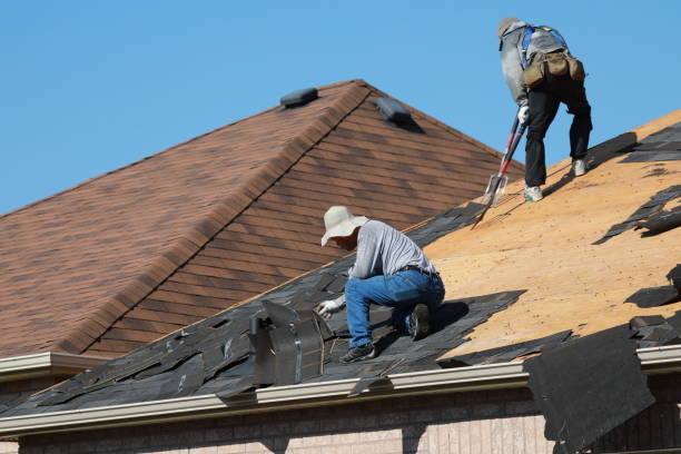 Reliable Quitman, GA Roofing services Solutions